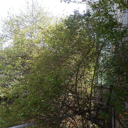 Silver House Varna Exterior photo
