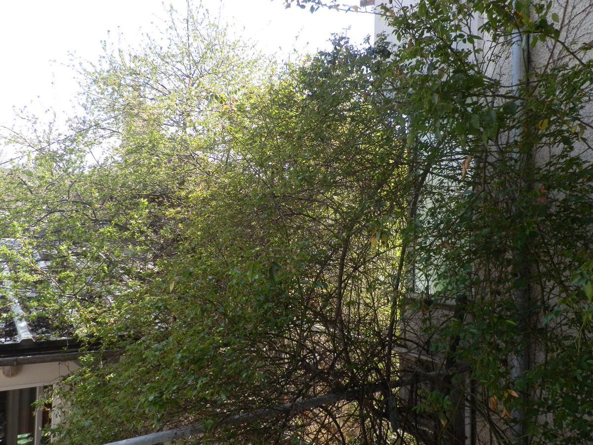 Silver House Varna Exterior photo